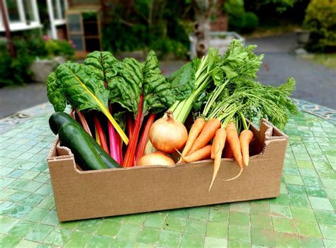 Small Veg Box | Organic Food Box | Bangors Organic Veg Boxes