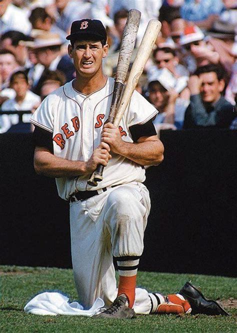 44 Greatest Players in Major League Baseball History - HowTheyPlay