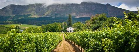 Cape Town Constantia Wine Route | Cape Town Travel Guide