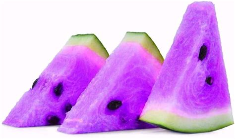 WILLVINE ™Hybrid Purple Watermelon Seeds Seed Price in India - Buy ...