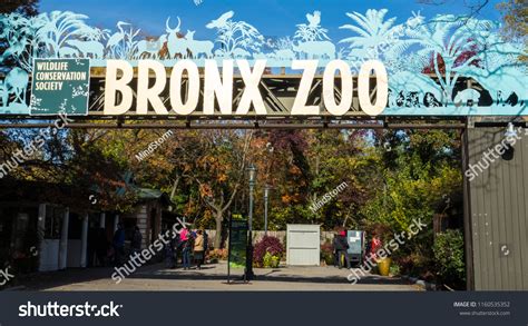 1,149 Bronx zoo Images, Stock Photos & Vectors | Shutterstock