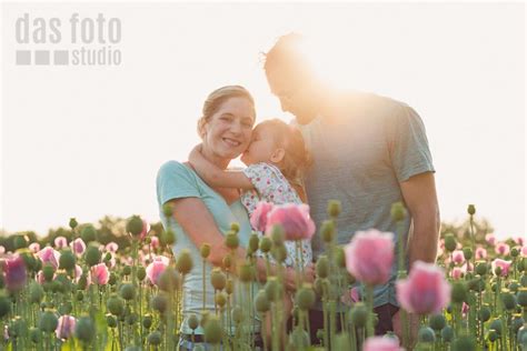 A field of poppies » DasFoto-Studio