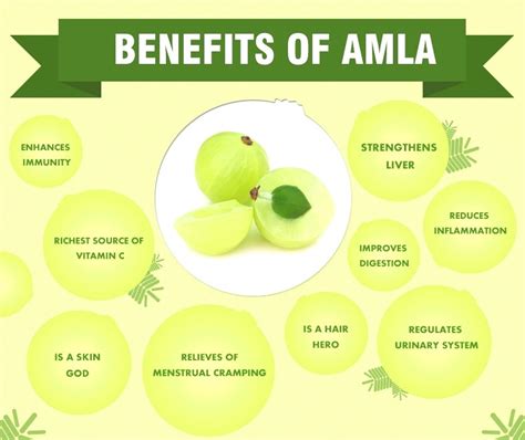 Top 10 Amazing Benefits Of Amla - The Indian Gooseberry