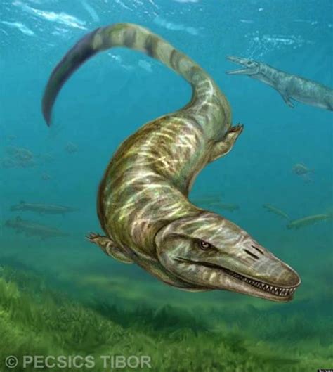 Mosasaur Fossils Suggest Huge Prehistoric Predator Lived In Fresh Water | HuffPost