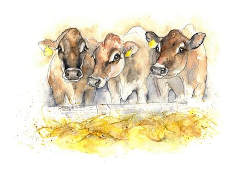 More Dairy Cow Illustrations! Jersey heads and Bursting Udders | Cow illustration, Animal ...