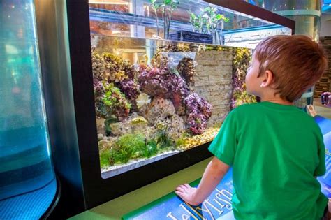 See the Aquariums at Center in the Square in Downtown Roanoke | Roanoke ...