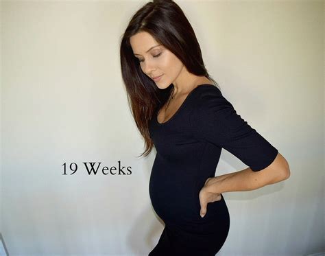 Baby Bump Update: 19 Weeks - Andee Layne