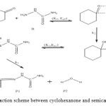 Density functional theory (B3LYP/6-311+G**) study of some semicarbazones formation mechanism ...