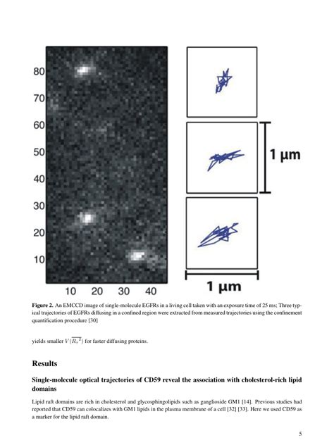 Biochemical Journal Template - Portland Press