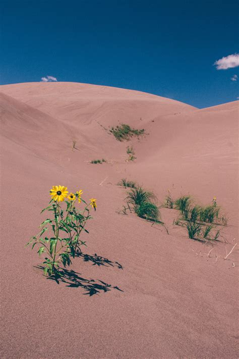 karl-shakur: Great Sands by Karl-Shakur // Instagram