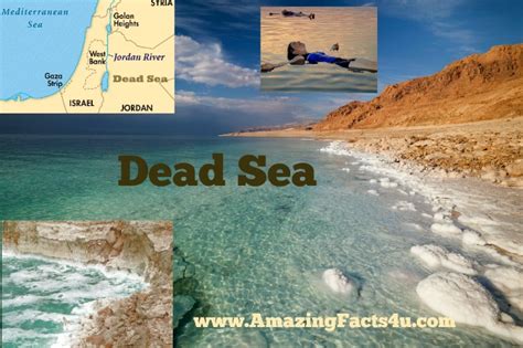 Dead Sea Amazing Facts 4 u