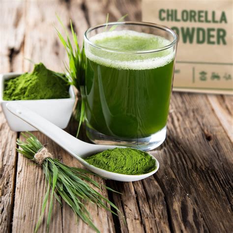 Chlorella Powder | Nutriseed