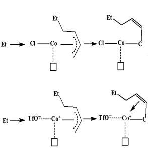 The proposed polymerization mechanism for butadiene polymerization with... | Download Scientific ...