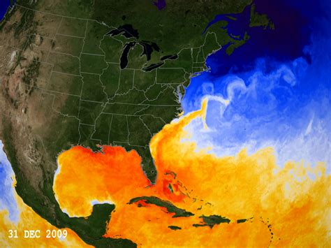 Gulf Of Mexico Water Temperature Map - Vector U S Map