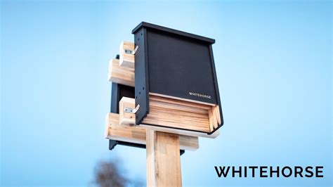 Bat House Installation Tips - YouTube