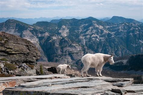 Tim Tower Photography - Idaho - Scotchman Peak