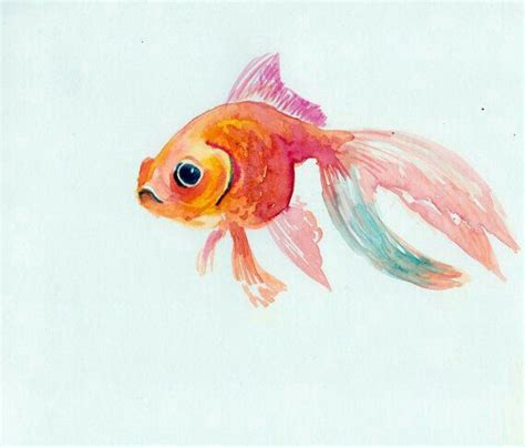 Pin by Yu Hsuan Lin on drawing_fish | Watercolor art, Loose watercolor paintings, Fish art