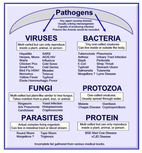 Types of Pathogens Nursing School Studying, Nursing School Notes ...