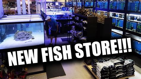 Aquarium Stores Near Me Aquarium village – ISBAGUS