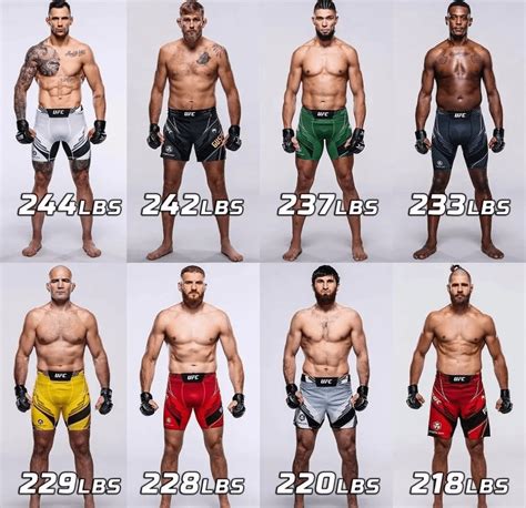 Walk around weight of fighters in light heavyweight division : r/ufc