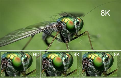 What are the differences between 4K and 8K