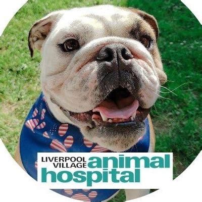 Liverpool Village Animal Hospital - Home | Facebook