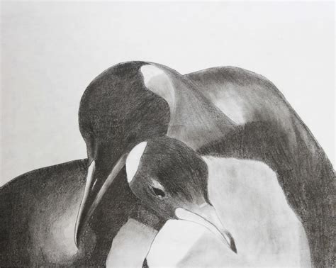 Student Art: Graphite Animals