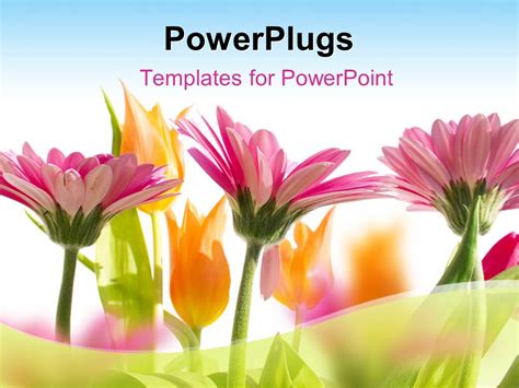 Free Powerpoint Templates Spring