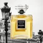 What’s the difference between Chanel Coco and Coco Noir Perfumes | SOKI LONDON