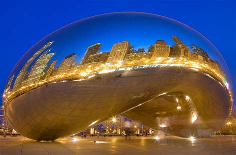 Bean Reflections Photograph by Donald Schwartz - Fine Art America