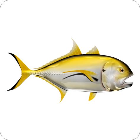 Crevall Jack – Digital Fish Art