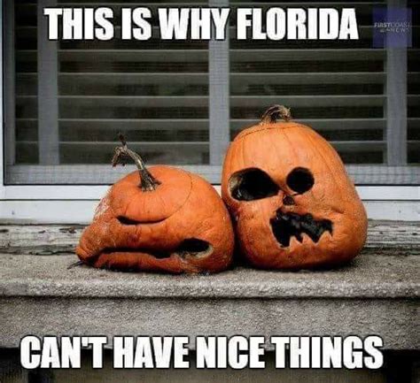 15 Downright Funny Memes You’ll Only Get If You’re From Florida | Florida funny, Fall memes ...