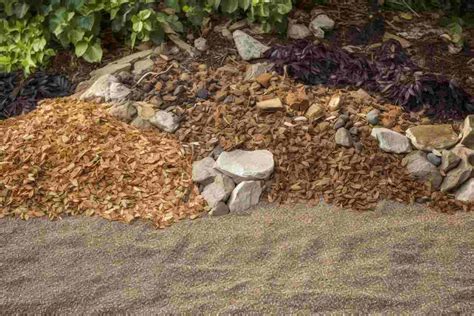 10 Flower Bed Ideas With Mulch: Add Color and Texture to Your Garden - Foliage Friend - Learn ...