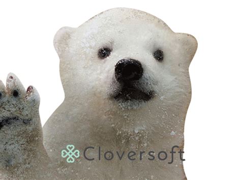 Polar Bear Hello Sticker by Cloversoft for iOS & Android | GIPHY