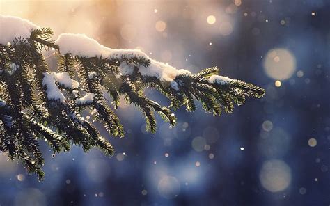 Christmas In Winter Wallpapers - Wallpaper Cave