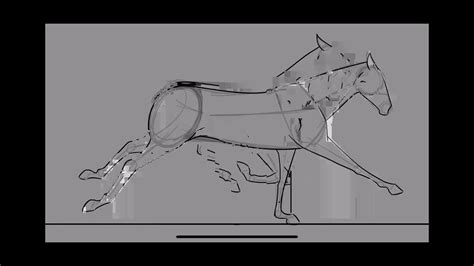 Horse Run Cycle | 2D Animation - YouTube