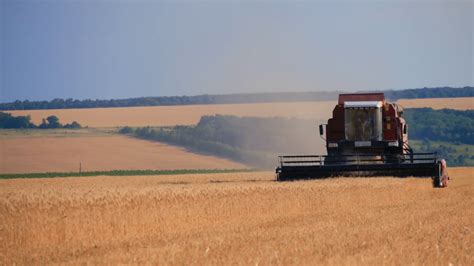 Combine Harvester Gathers Wheat Crop Wheat Stock Footage SBV-325539741 - Storyblocks