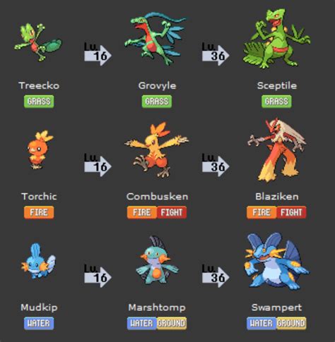 Pokemon Starters Evolution Chart