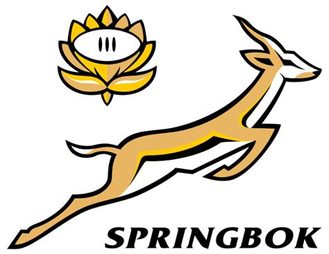 Invictus - RUGBY and the SPRINGBOKS