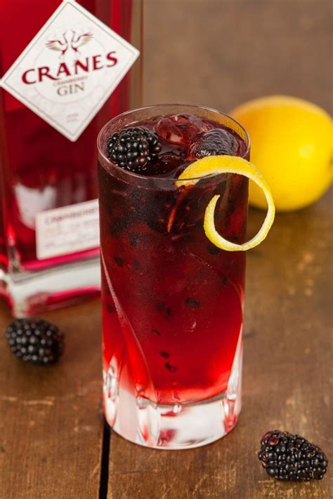 Gin Bramble | Bramble cocktail, Summer cocktail recipes, Fruit gin