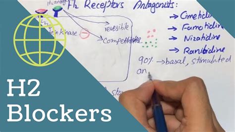 H2 Receptor antagonists - Mechanism, Uses, Pharmacokinetics, Adverse effects, Drug interaction ...