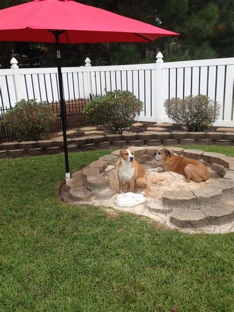 How To Make Backyard Fun For Dogs