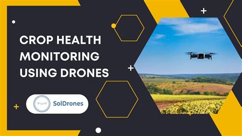 Unveiling the Future of Precision Crop Health Monitoring Using Drones - SolDrones