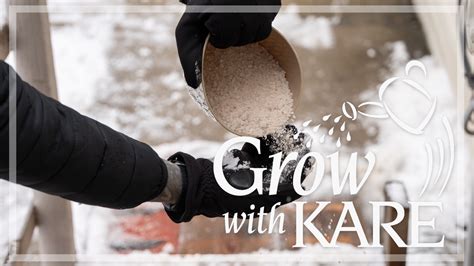 Grow with KARE | Sidewalk salt and your gardens | kare11.com