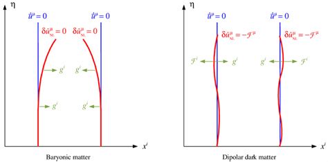 Schematic view of two worldlines of baryonic matter and dipolar dark... | Download Scientific ...