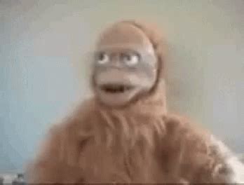 Wtf Orangutan GIF - Wtf Orangutan Mad - Discover & Share GIFs