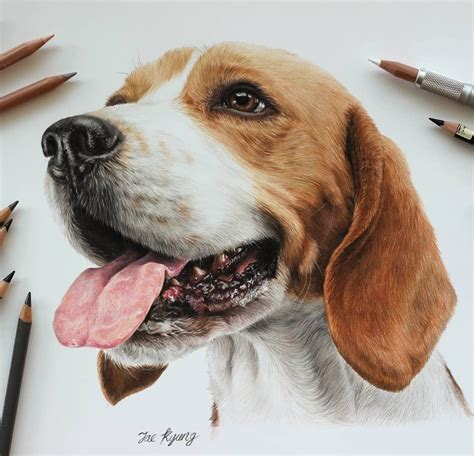 Cute Kittens and Puppies Drawings | Beagle art, Dog paintings, Animal drawings