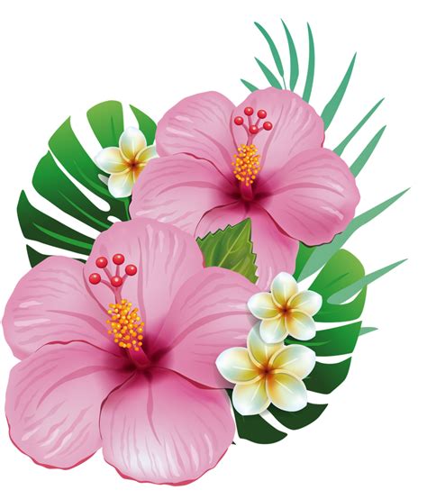 Tropical Flowers Clipart | Free download on ClipArtMag