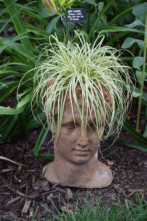 Head planters and face pots whimsical containers – Artofit