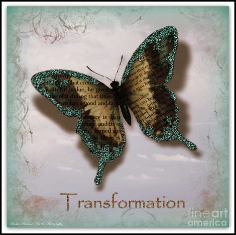 Butterfly of Transformation Photograph by Bobbee Rickard